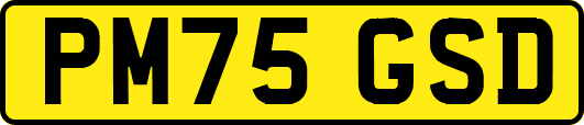 PM75GSD