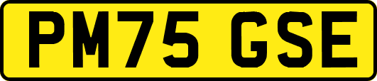 PM75GSE