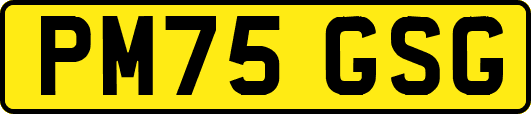 PM75GSG