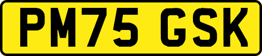 PM75GSK