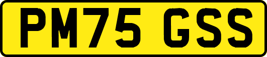 PM75GSS