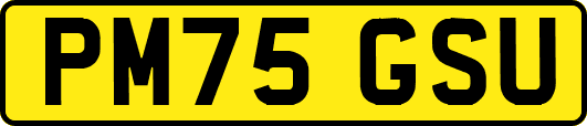 PM75GSU