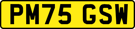 PM75GSW
