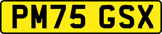 PM75GSX