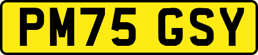 PM75GSY