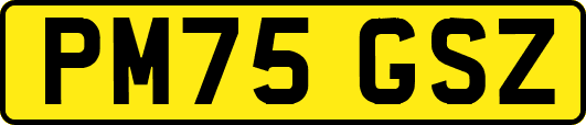 PM75GSZ