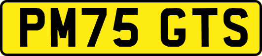 PM75GTS