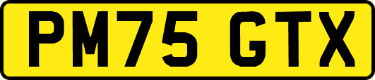 PM75GTX