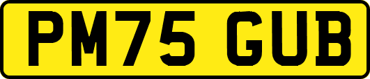 PM75GUB