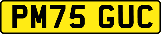 PM75GUC
