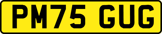 PM75GUG