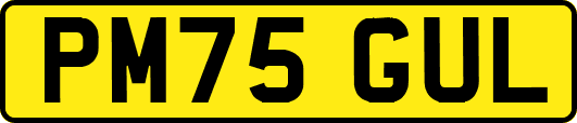 PM75GUL