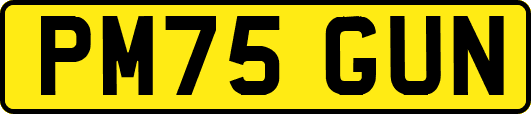 PM75GUN