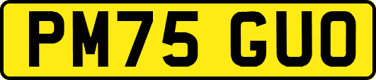 PM75GUO