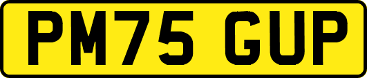 PM75GUP