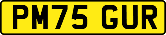 PM75GUR