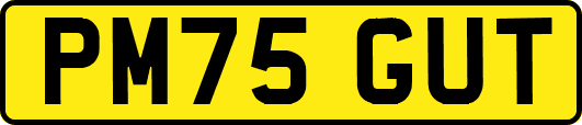 PM75GUT