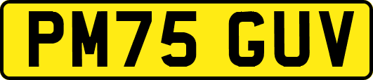 PM75GUV