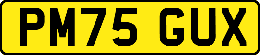 PM75GUX