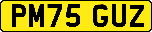 PM75GUZ