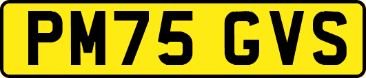 PM75GVS