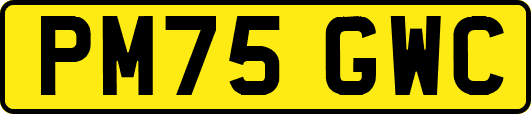 PM75GWC