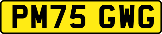 PM75GWG
