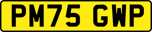 PM75GWP