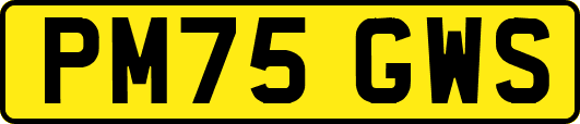 PM75GWS