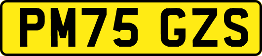 PM75GZS