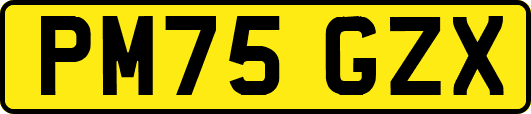 PM75GZX