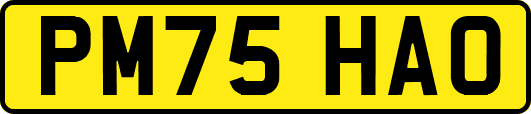 PM75HAO
