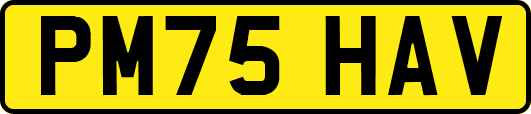 PM75HAV