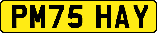 PM75HAY