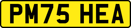 PM75HEA