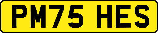 PM75HES