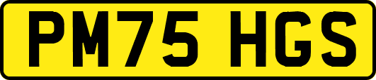 PM75HGS
