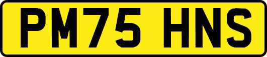 PM75HNS