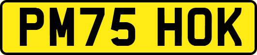 PM75HOK