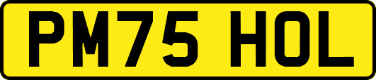 PM75HOL
