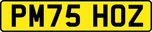 PM75HOZ