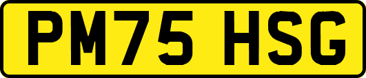 PM75HSG