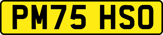PM75HSO