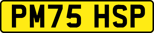 PM75HSP