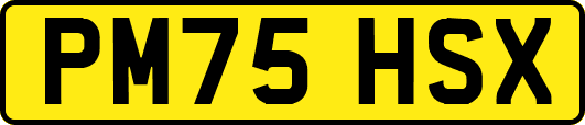 PM75HSX