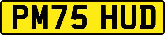 PM75HUD