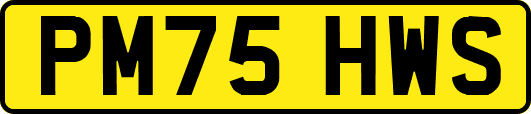 PM75HWS
