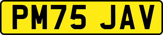PM75JAV