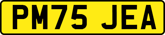 PM75JEA