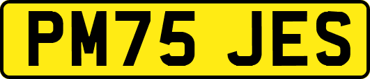 PM75JES